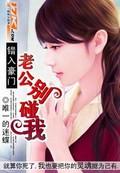 错入豪门老公别碰我txt