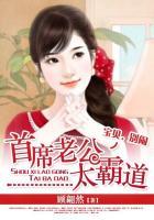 免费首席老公霸道宠宝贝继续