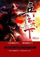 三国之兵临天下高月