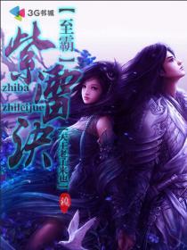 紫霄雷尊主角的功法