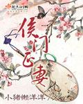 侯门正妻讲的什么故事