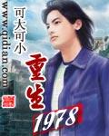 重生1978年全文免费阅读无弹窗