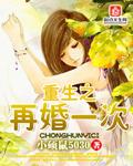 重生之再婚一次未删减