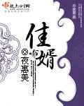绝品佳婿李洁免费阅读