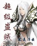 超级盗贼书旗