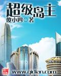 超级岛主张衡TXT奇书网