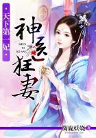 天下第一妃神医狂妻男主是谁