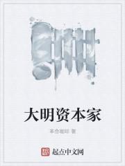 明朝的资本主义
