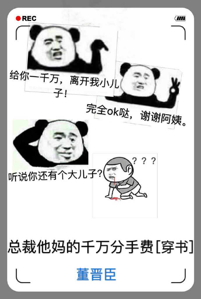 总裁他妈的分手费一千万