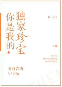 你是我的独家珍宝免费阅读