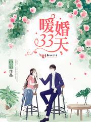 暖婚33天免费阅读全文