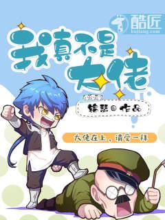 我真不是大佬TXT