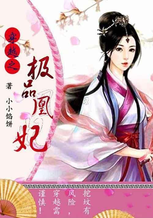 穿越之极品皇子妃