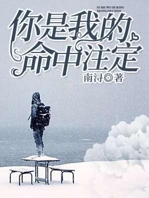 你是我的命中注定插曲