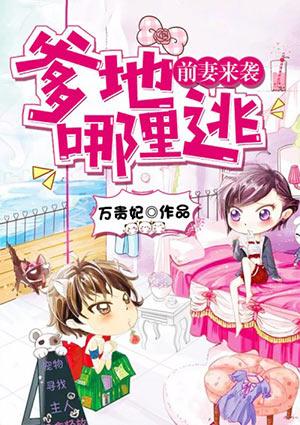 前妻来袭Q
