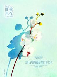 爱你是最好的时光(典藏纪念版) 匪我思存