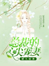 婚久情深总裁老公玩套路