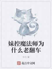 妹控人物