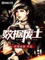 数据废土无防盗
