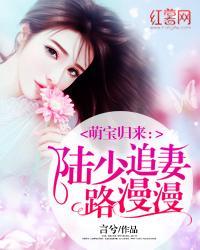 萌宝归来陆少追妻路漫漫 言兮