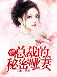 暖婚萌妻总裁宠妻成瘾肥肥