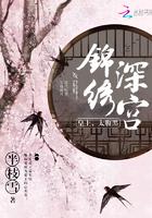 锦绣深宫第520章