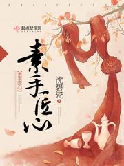 素手匠心txt书包网