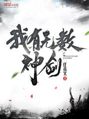我有无数神剑类似的境界