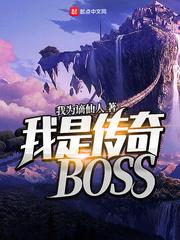 我是传奇boss等级