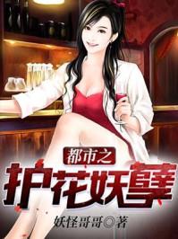都市护花妖孽苏寒