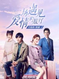 一场遇见爱情的旅行去的什么地方?