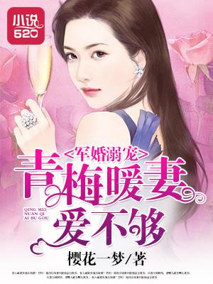 盛世暖婚免费阅读