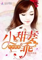 帝少宠妻有点甜贺宁是谁的孩子