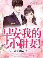 早安小甜妻乔安好