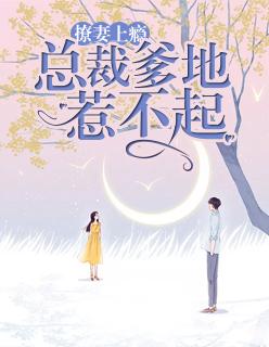 总裁爹地撩上瘾全文免费阅读