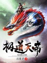 极道天帝番外篇