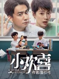 小欢喜电视剧全集完整版