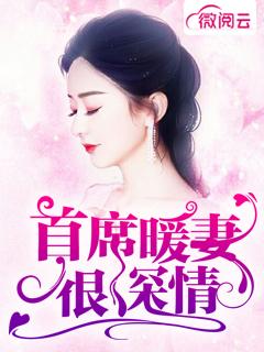 首席暖妻心尖宠免费阅读
