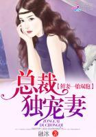 一胎双宝 总裁宠妻无度