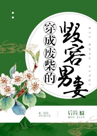 穿成毁容废物男妻