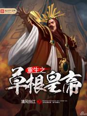 豪门赘婿大结局