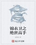 锦衣卫之绝世高手精彩章节
