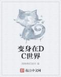 变身在dc世界加料