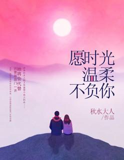 超级女婿顶点