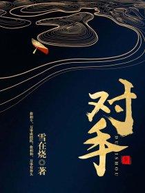 对手电视剧免费观看全集剧情