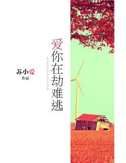 穿越之我是卫宫士郎