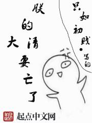 朕的江山亡了雾十免费