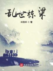 乱世栋梁评价