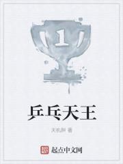乒乓 王