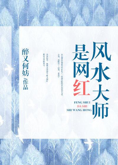 贞观憨婿最新